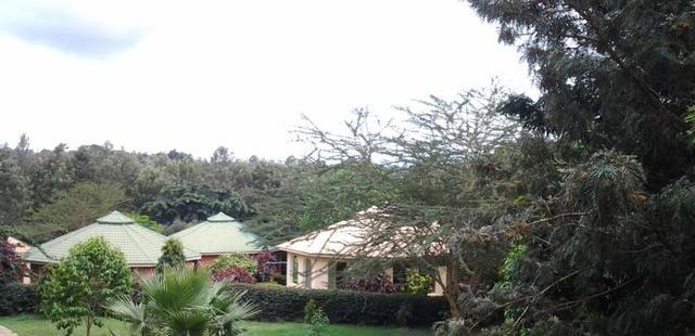 The Plantation Lodge & Safaris Ltd