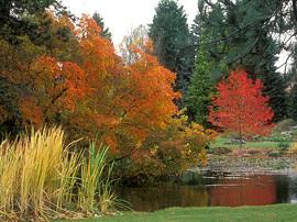 Cambridge University Botanic Garden