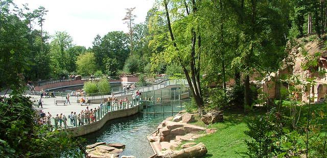 Tiergarten Nuernberg