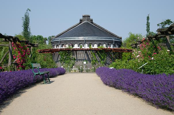 Botanischen Gartens und Botanischen Museums Berlin