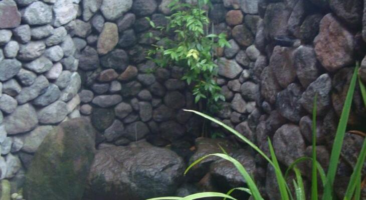Tembi Rumah Budaya