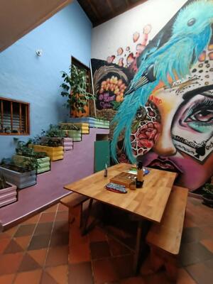 Yolo Hostel Medellin