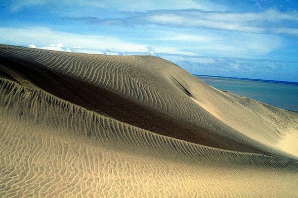 Sigatoka Sand Dunes National Park