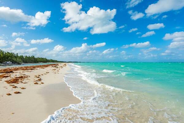 Wild Cow Run Beach