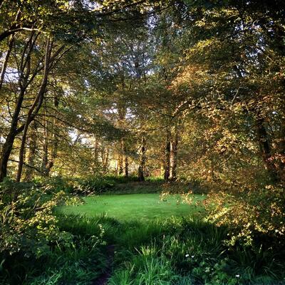 Liss Ard Estate