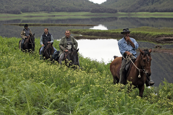 Ferme Equestre du Grand Etang