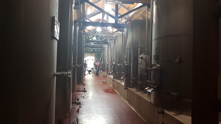 Finca El Paraiso - Bodega Luigi Bosca