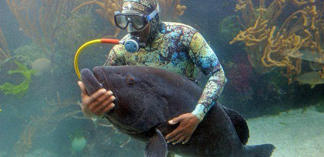 Bermuda Aquarium, Natural History Museum & Zoo