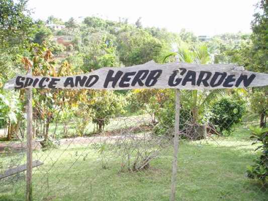 Laura's Herb & Spice Garden