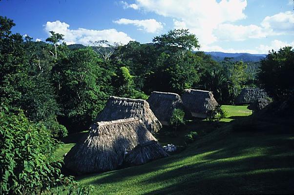 Jade Jungle Resort