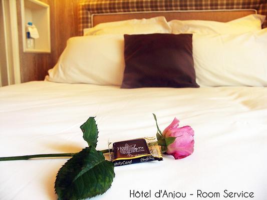 Oceania Hotel D'anjou****