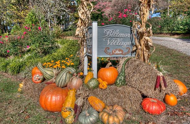 Biltmore Village Inn Bed & Breakfast