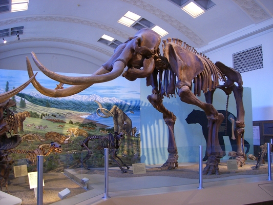 Natural History Museum of Utah