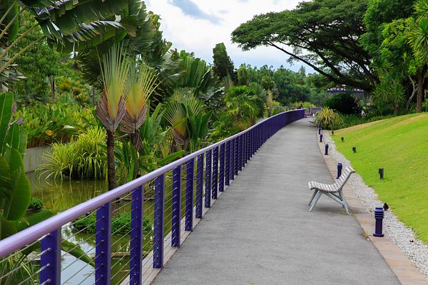 Gardens by the Bay