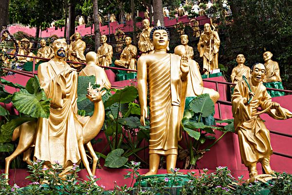 Ten Thousand Buddhas Monastery (Man Fat Sze)