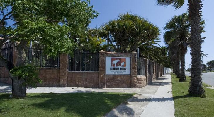 Lungile Backpackers