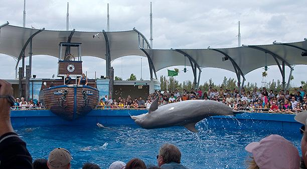 Miami Seaquarium