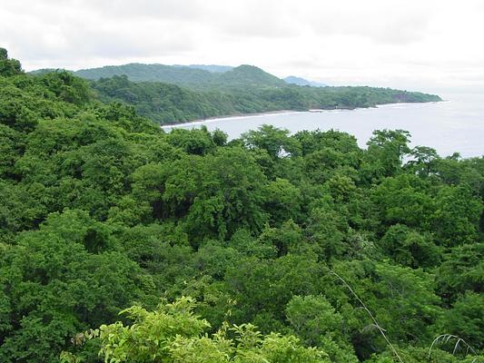 Refugio Nacional Mixto de Vida Silvestre Romelia