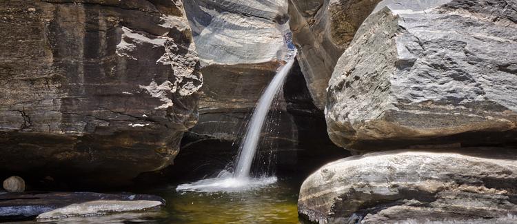 Sabino Canyon