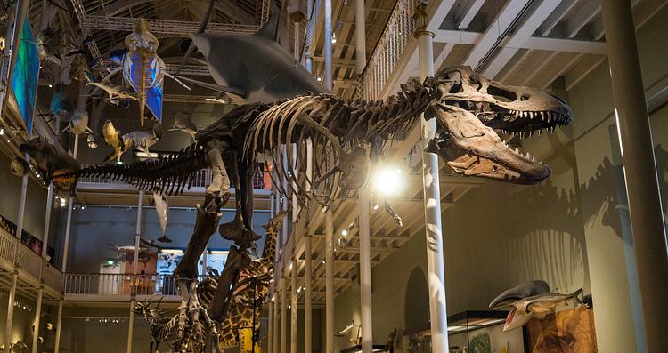 National Museum of Scotland