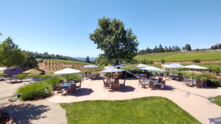 Lava Cap Winery