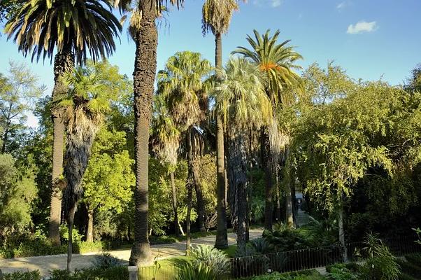 Jardim Botanico Da Universidade De Lisboa
