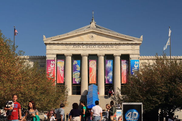 Shedd Aquarium