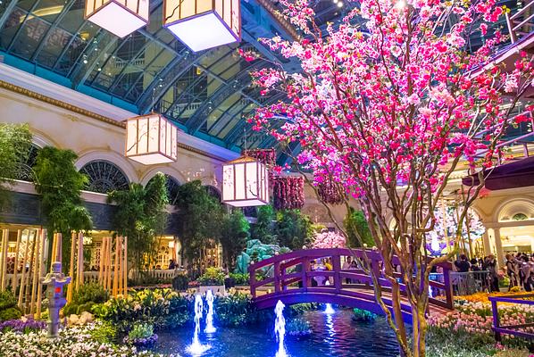 Bellagio Conservatory & Botanical Gardens - What You Need to Know