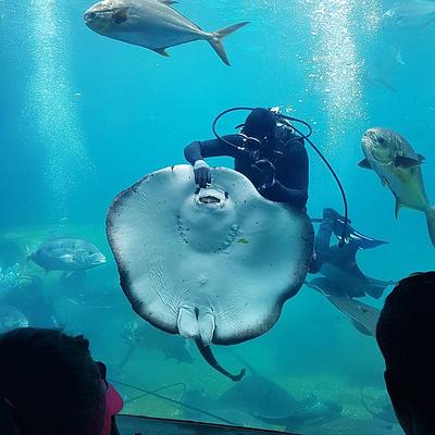 uShaka Marine World