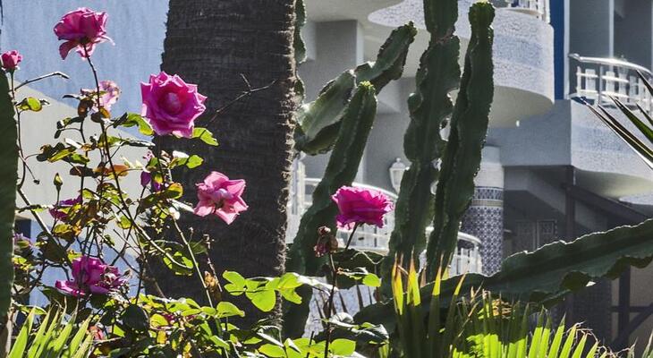 Club Val d'Anfa Hotel