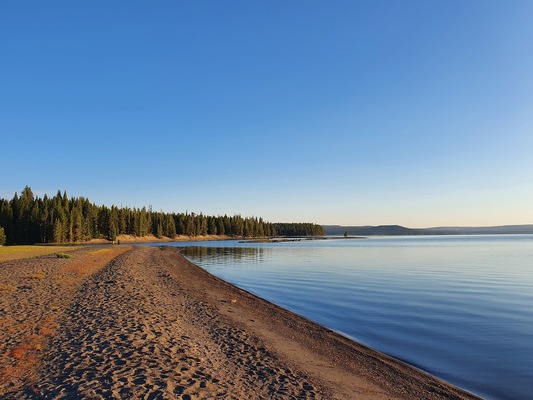 Grant Village Campground
