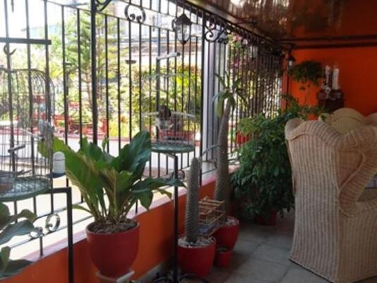 Penthouse Plaza Vieja
