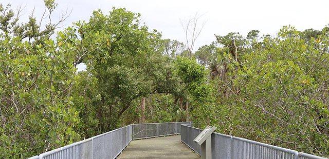 Rookery Bay National Estuarine Research Reserve