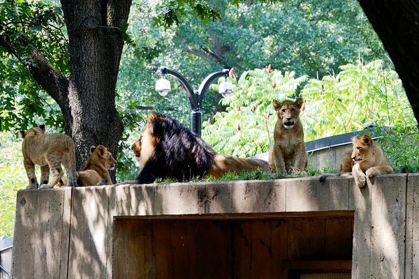 Smithsonian???s National Zoo & Conservation Biology Institute