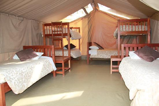 Wildebeest Eco Camp