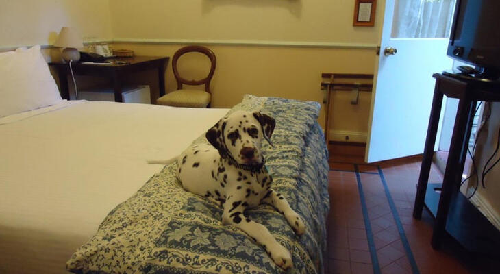 The Hughenden Boutique Hotel