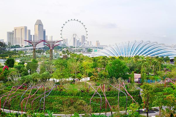 Singapore Botanic Gardens