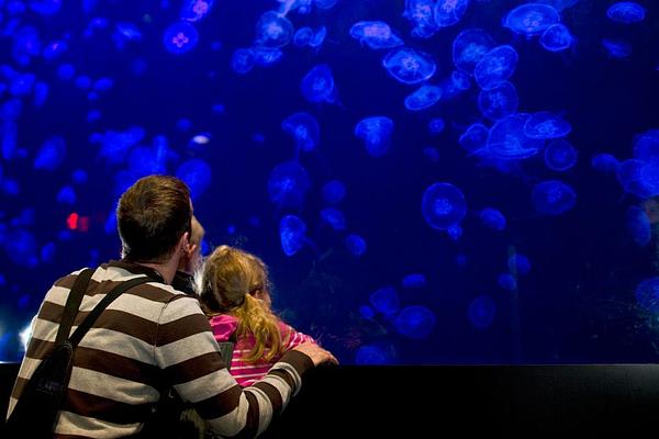 Aquarium du Quebec