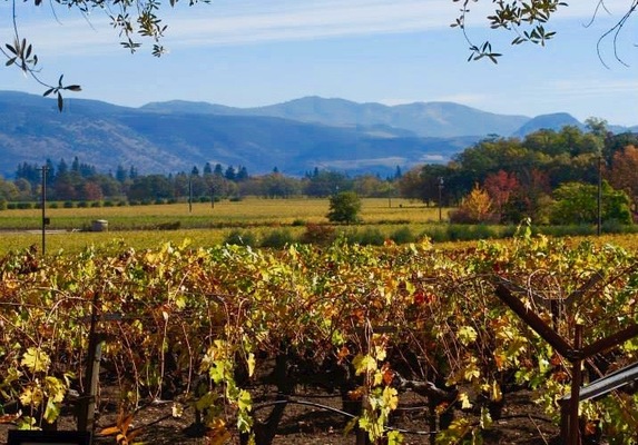 Tres Sabores Winery