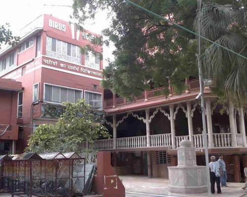 Charity Birds Hospital