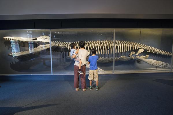 Harvard Museum of Natural History