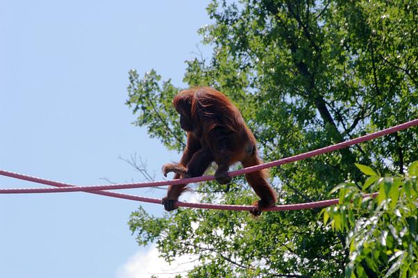 Smithsonian???s National Zoo & Conservation Biology Institute