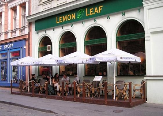 LEMON LEAF