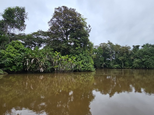 Cano Negro Wildlife Refuge