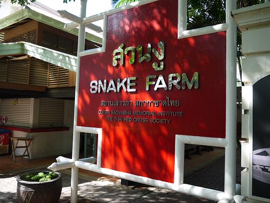 Snake Farm (Queen Saovabha Memorial Institute)