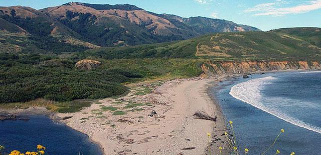 Andrew Molera State Park