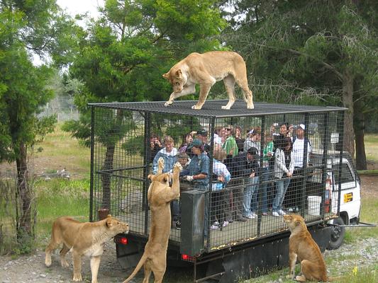 Orana Wildlife Park