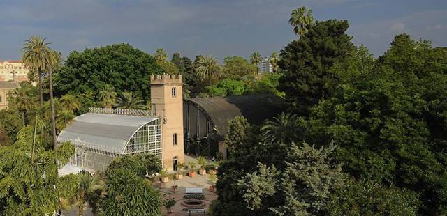 Jardin Botanico