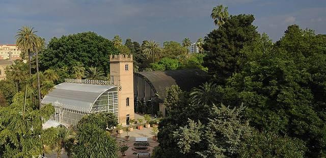 Jardin Botanico