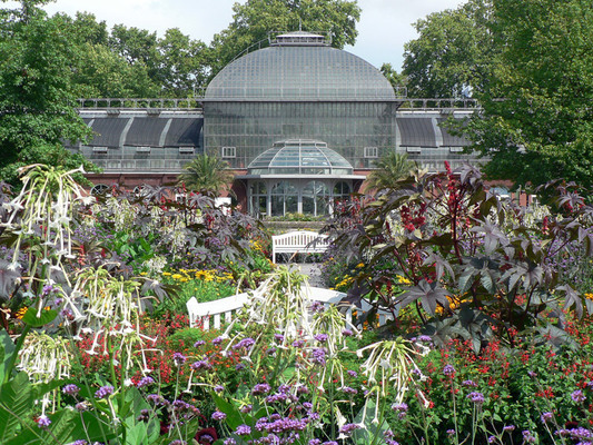 Palmengarten